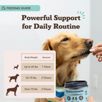 Dog Multivitamin Chews product image 5