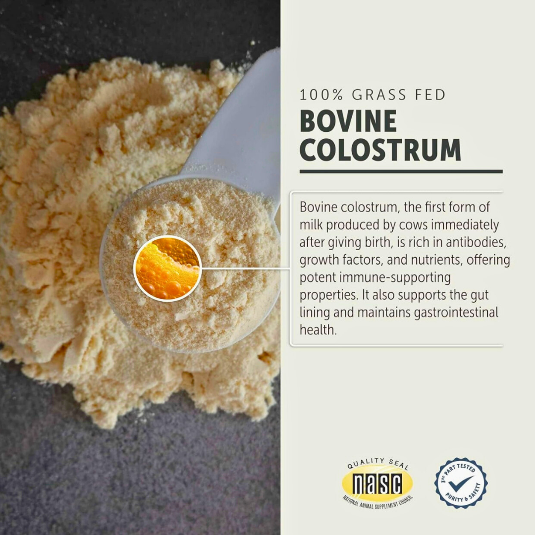 Bovine Colostrum Supplement product image 4