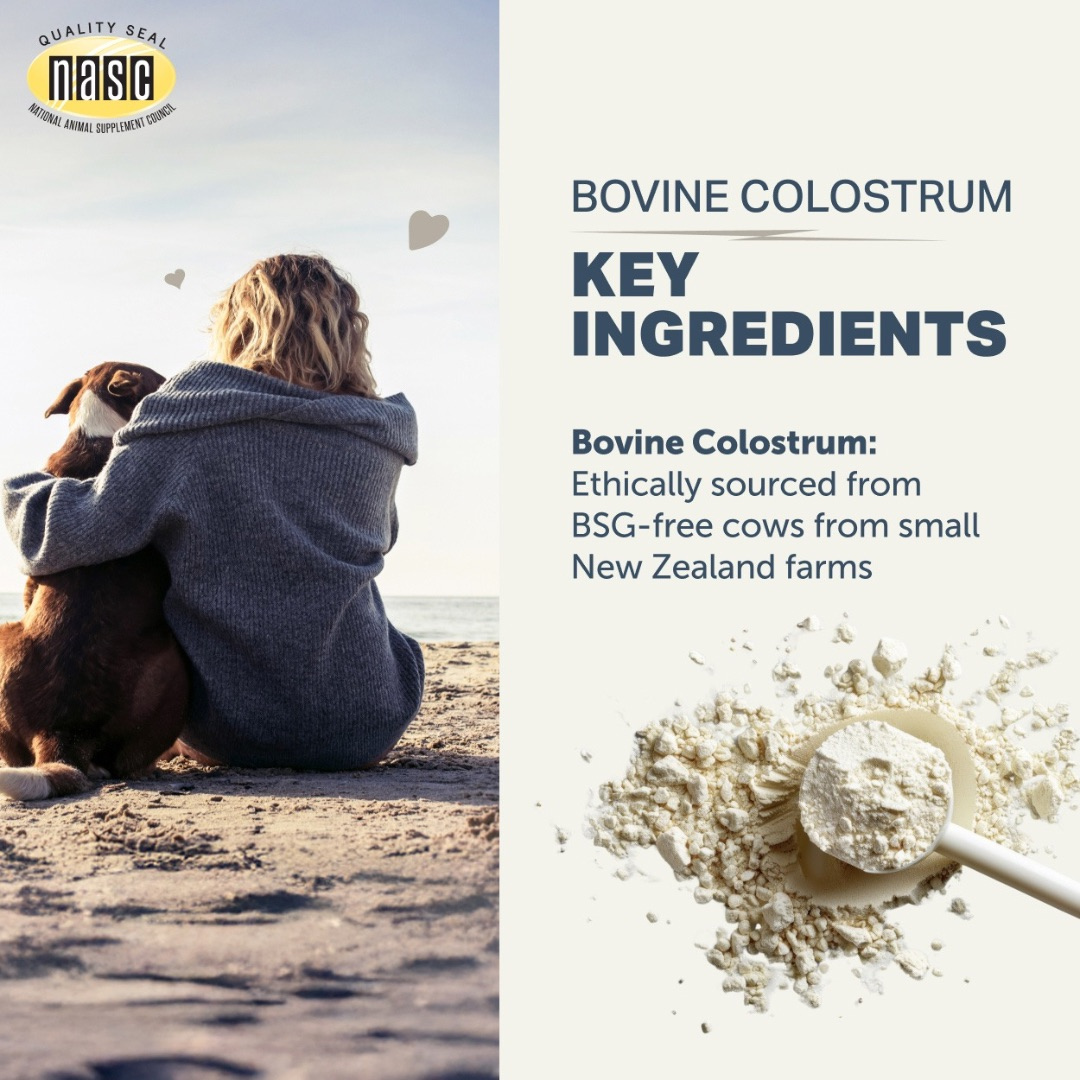 Bovine Colostrum Supplement product image 5