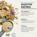 Dog Digestive Supplement product image 4