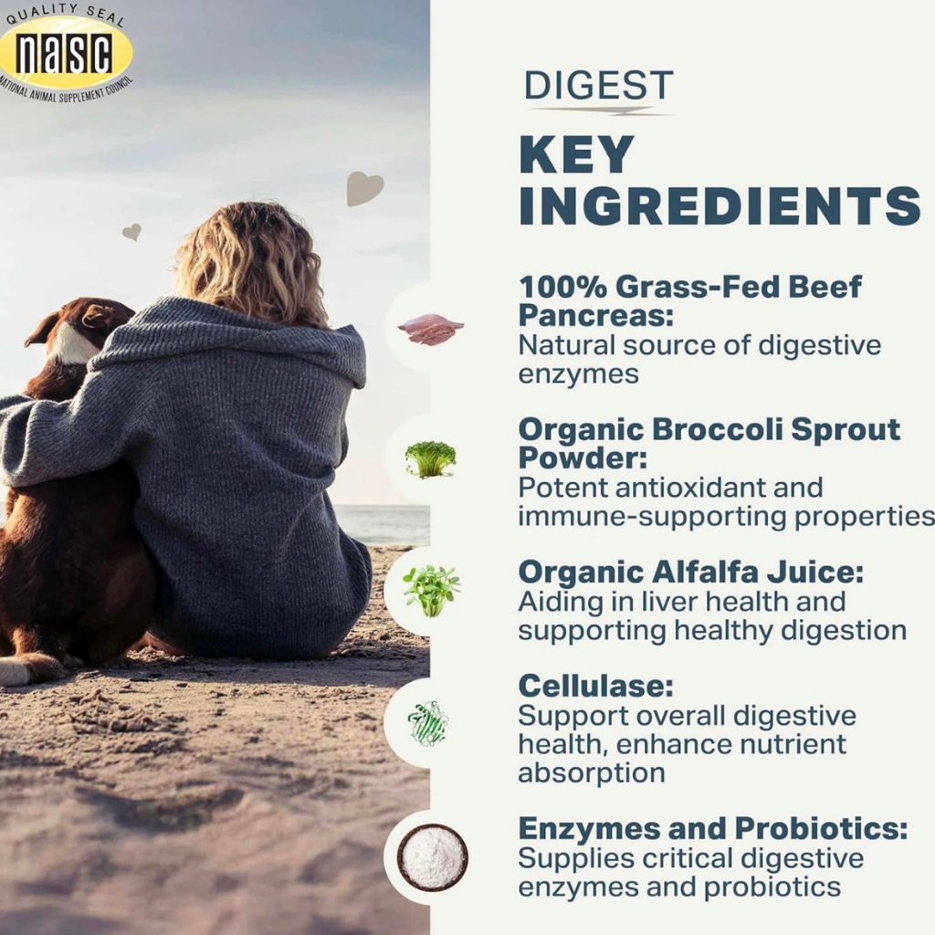 Dog Digestive Supplement product image 11