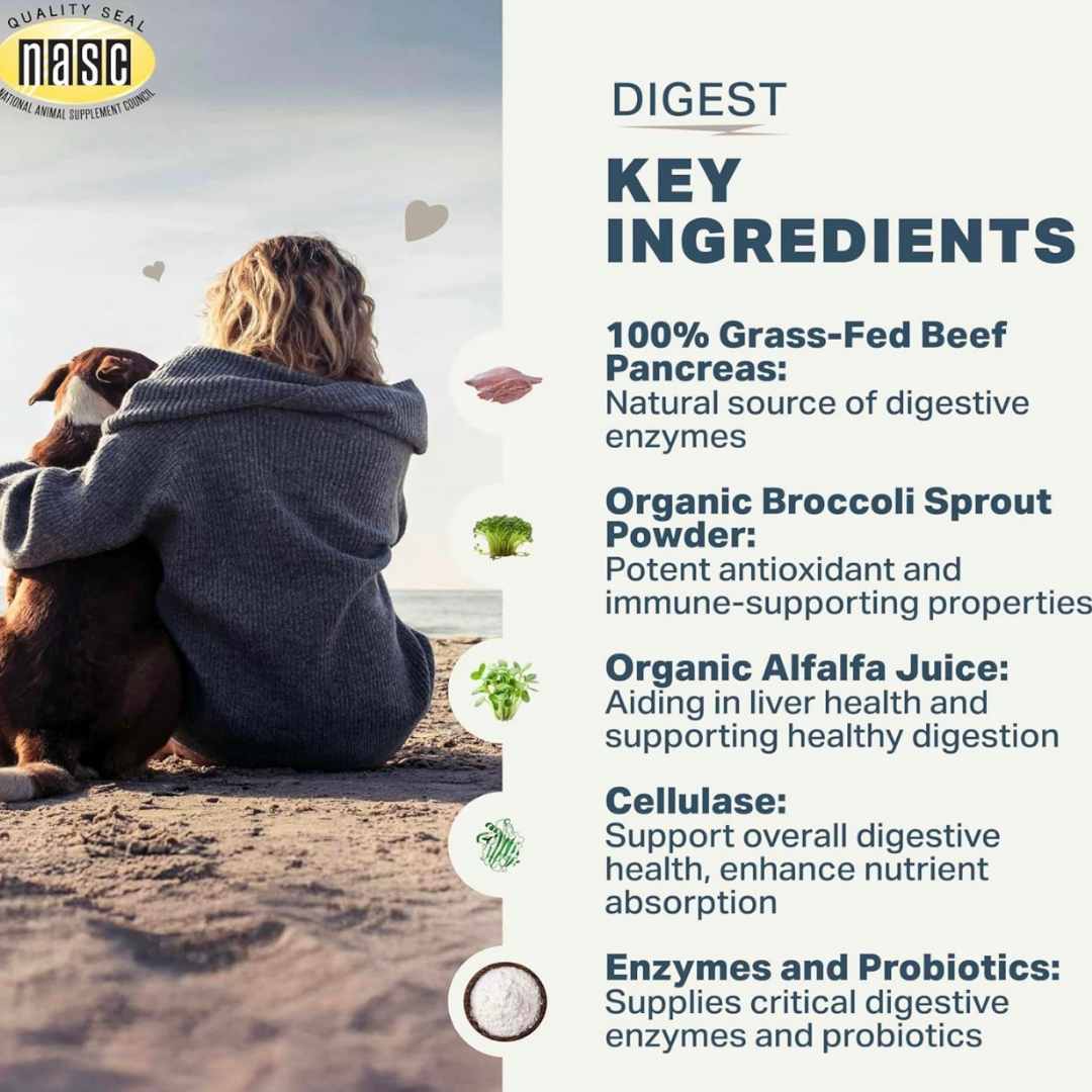 Dog Digestive Supplement product image 11