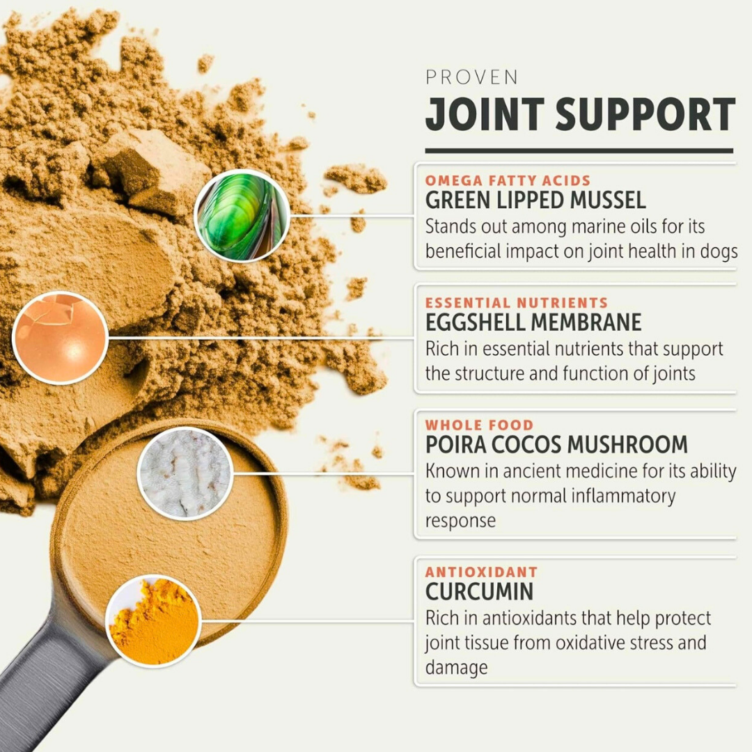 Dog Joint Supplement product image 3