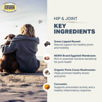 Dog Joint Supplement product image 5