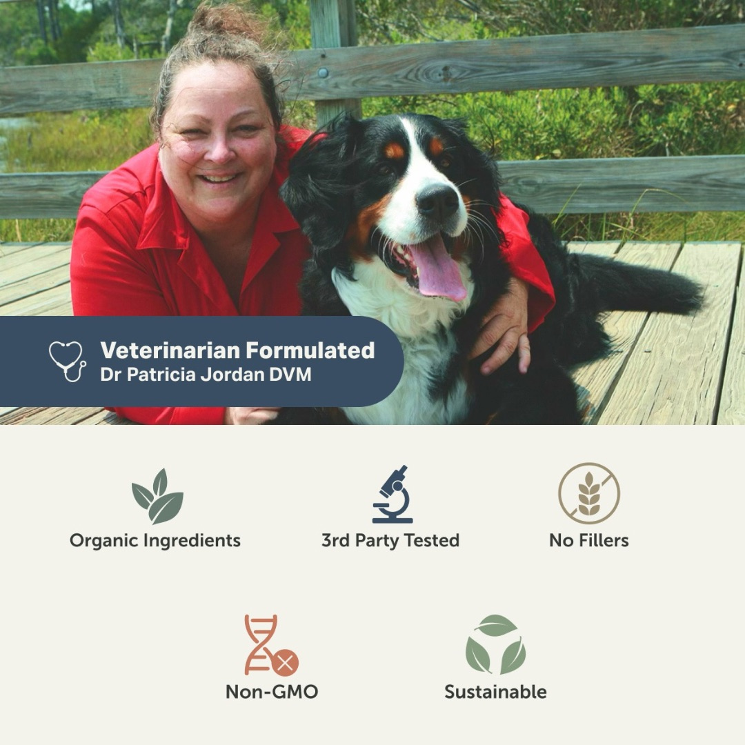 Dog Joint Supplement product image 17