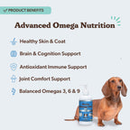 Dog Fish Oil Supplement product image 3