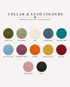 Martingale Dog Collar product image 3