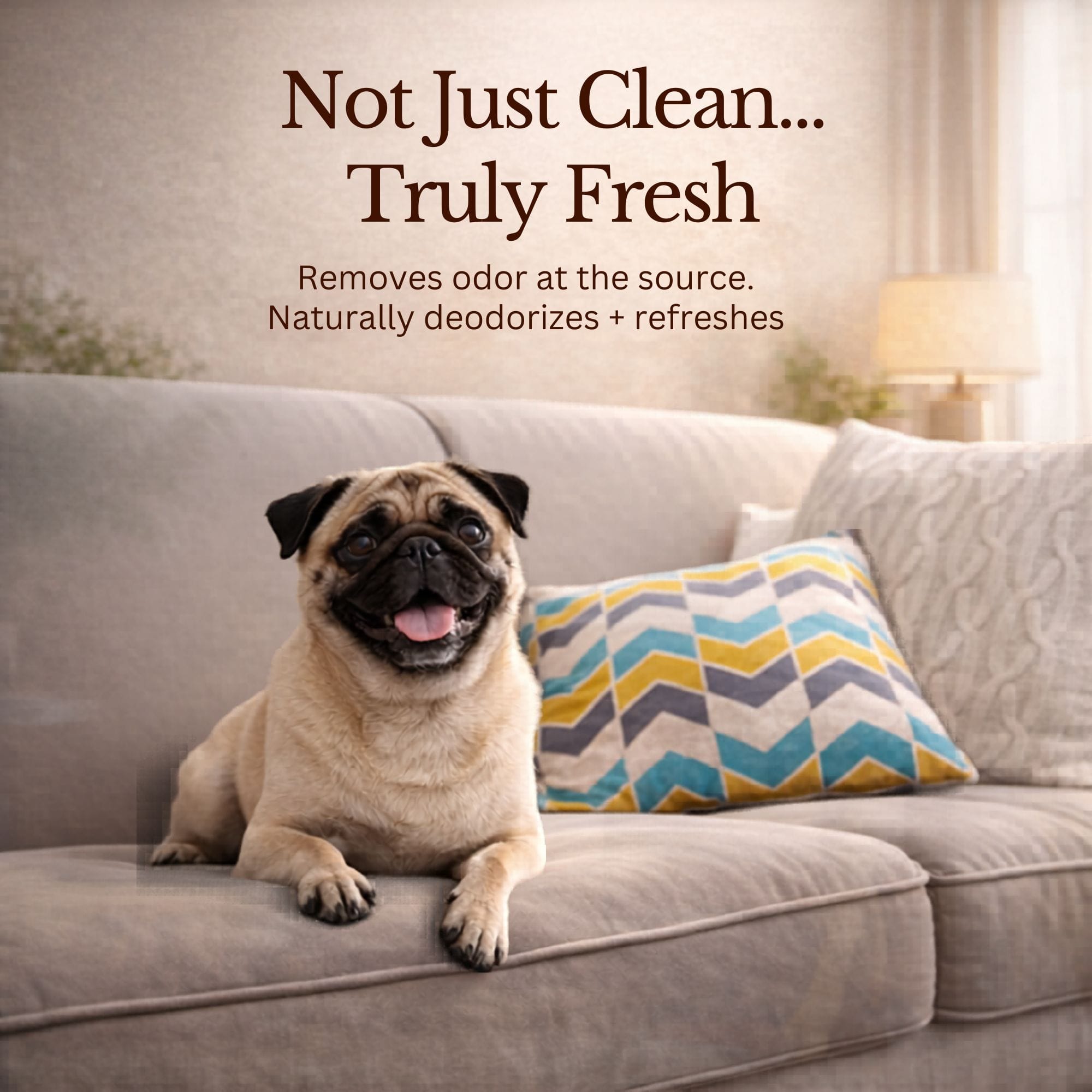 Organic Dog Shampoo product image 2