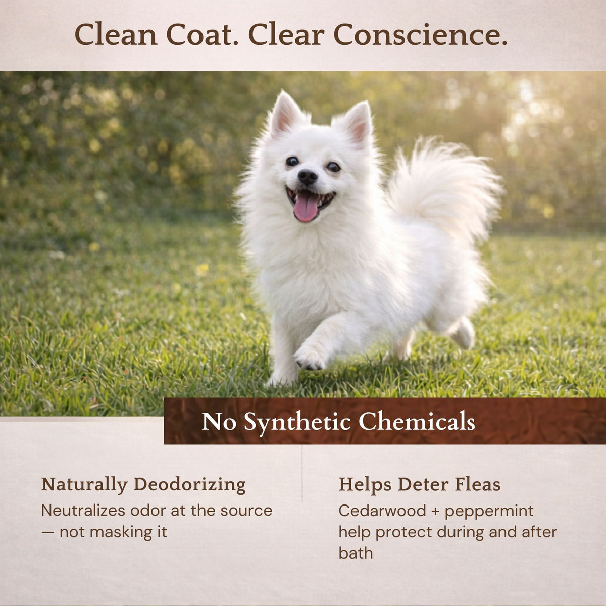Organic Dog Shampoo product image 7