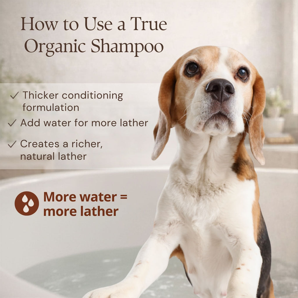 Organic Dog Shampoo product image 8