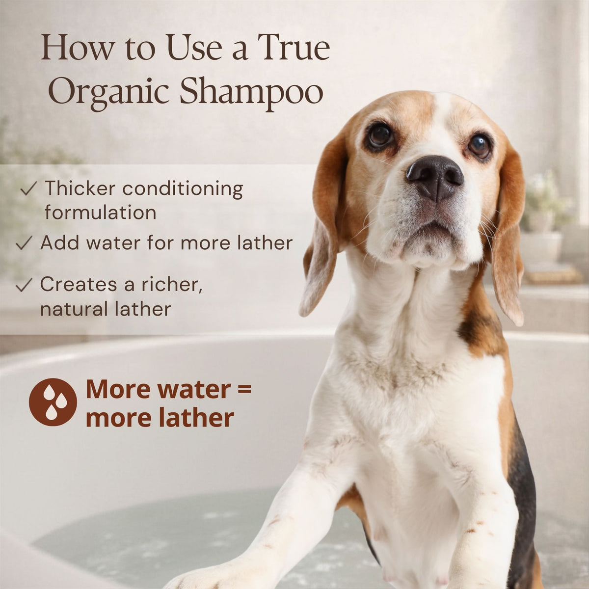 Organic Dog Shampoo product image 8