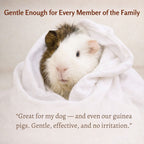 Organic Dog Shampoo product image 9