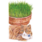 Cat Grass Seeds product image 1