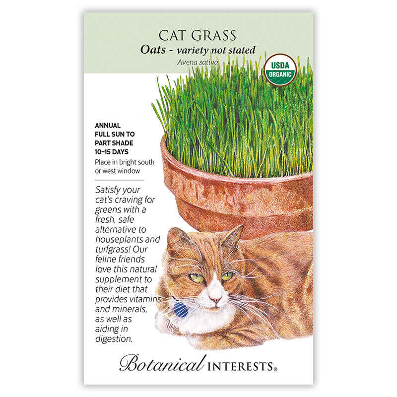 Cat Grass Seeds product image 3