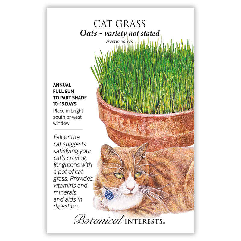 Cat Grass Seeds product image 6