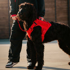 Tactical Dog Vest Harness product image 4