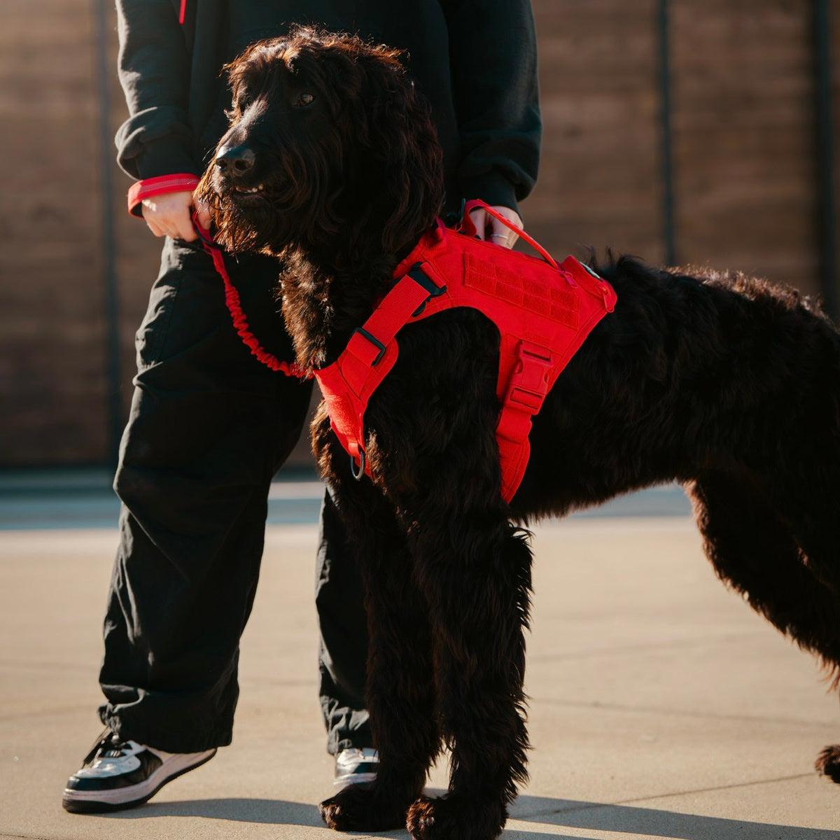 Tactical Dog Vest Harness product image 4