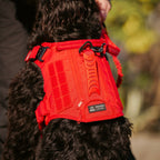 Tactical Dog Vest Harness product image 5