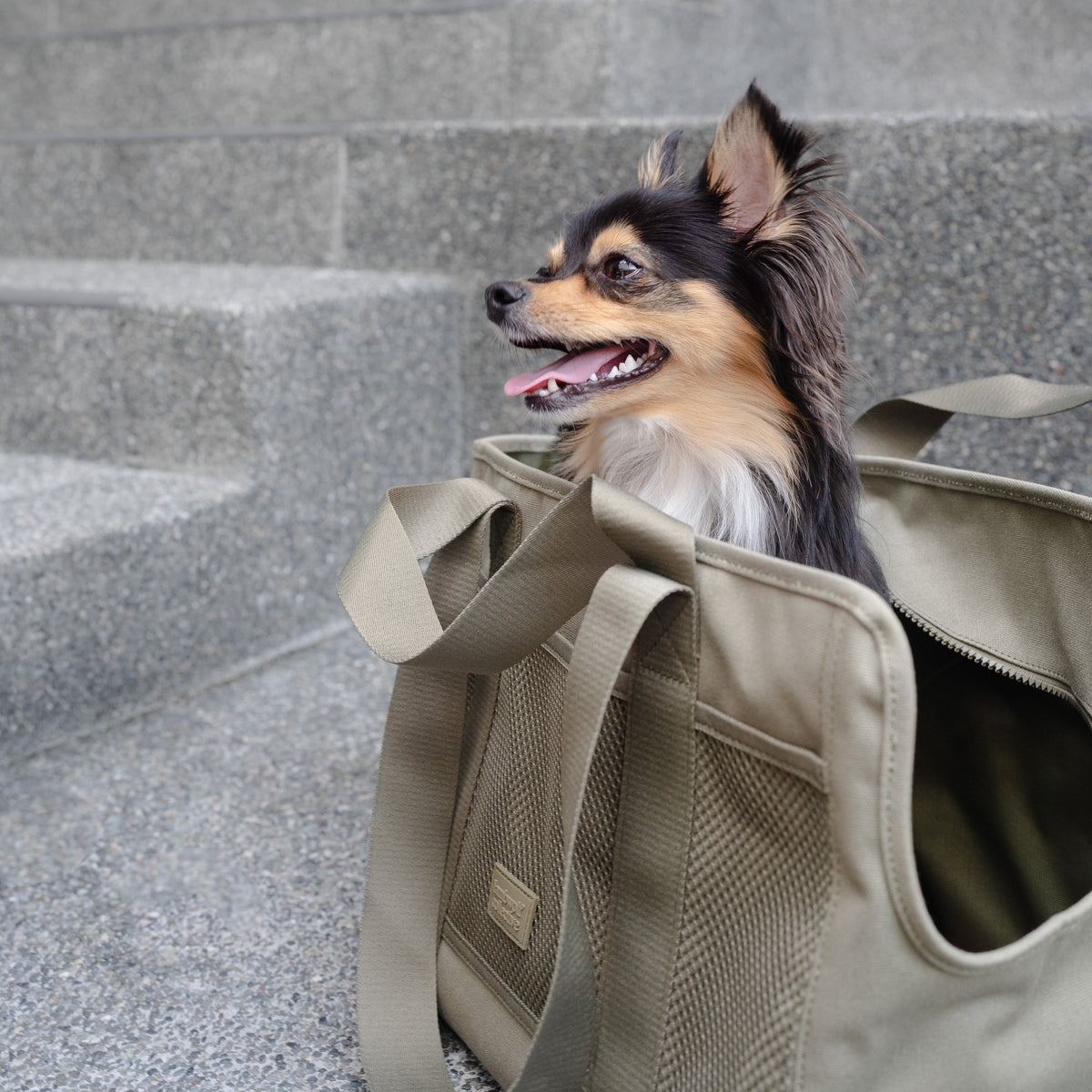 Pet Carrier product image 8