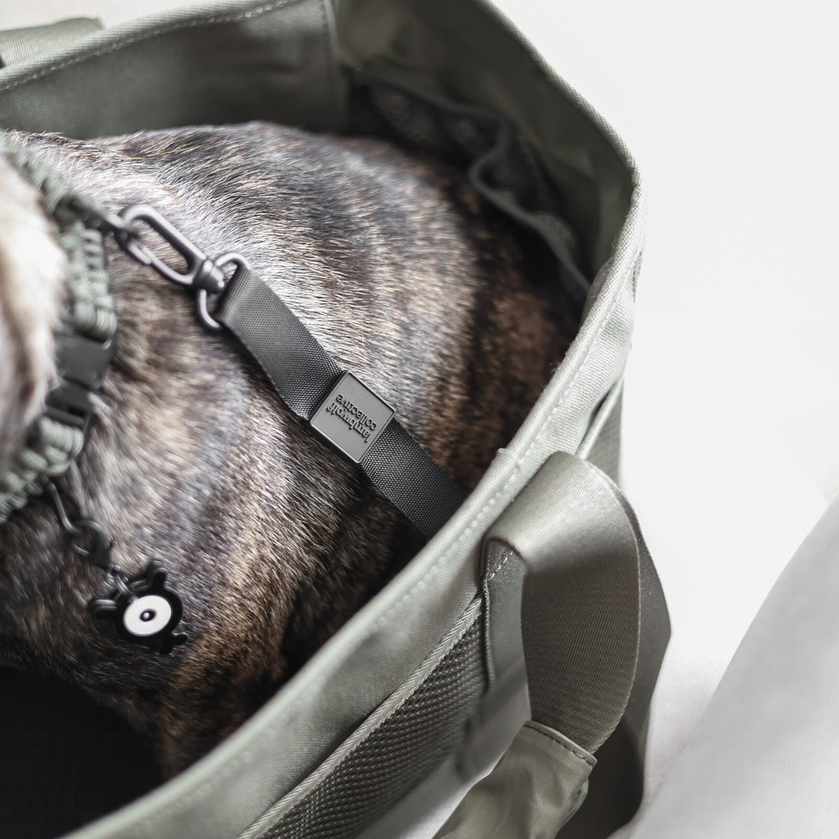 Pet Carrier product image 9