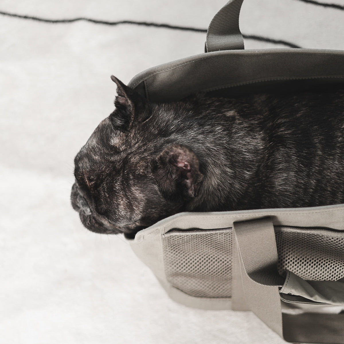 Pet Carrier product image 11