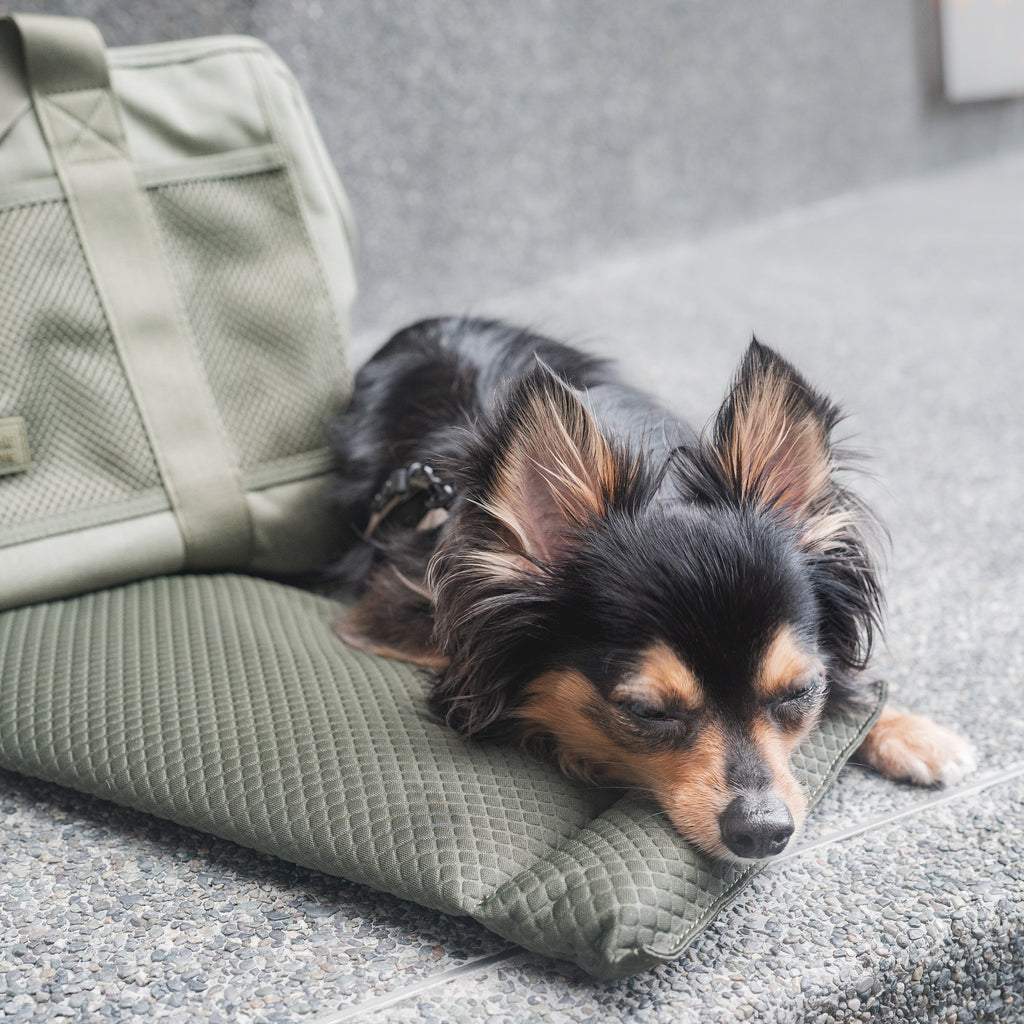 Pet Carrier product image 12