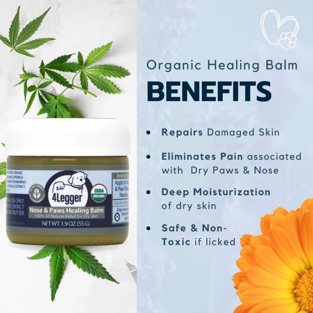 Dog Paw Balm product image 4