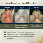 Dog Paw Balm product image 6