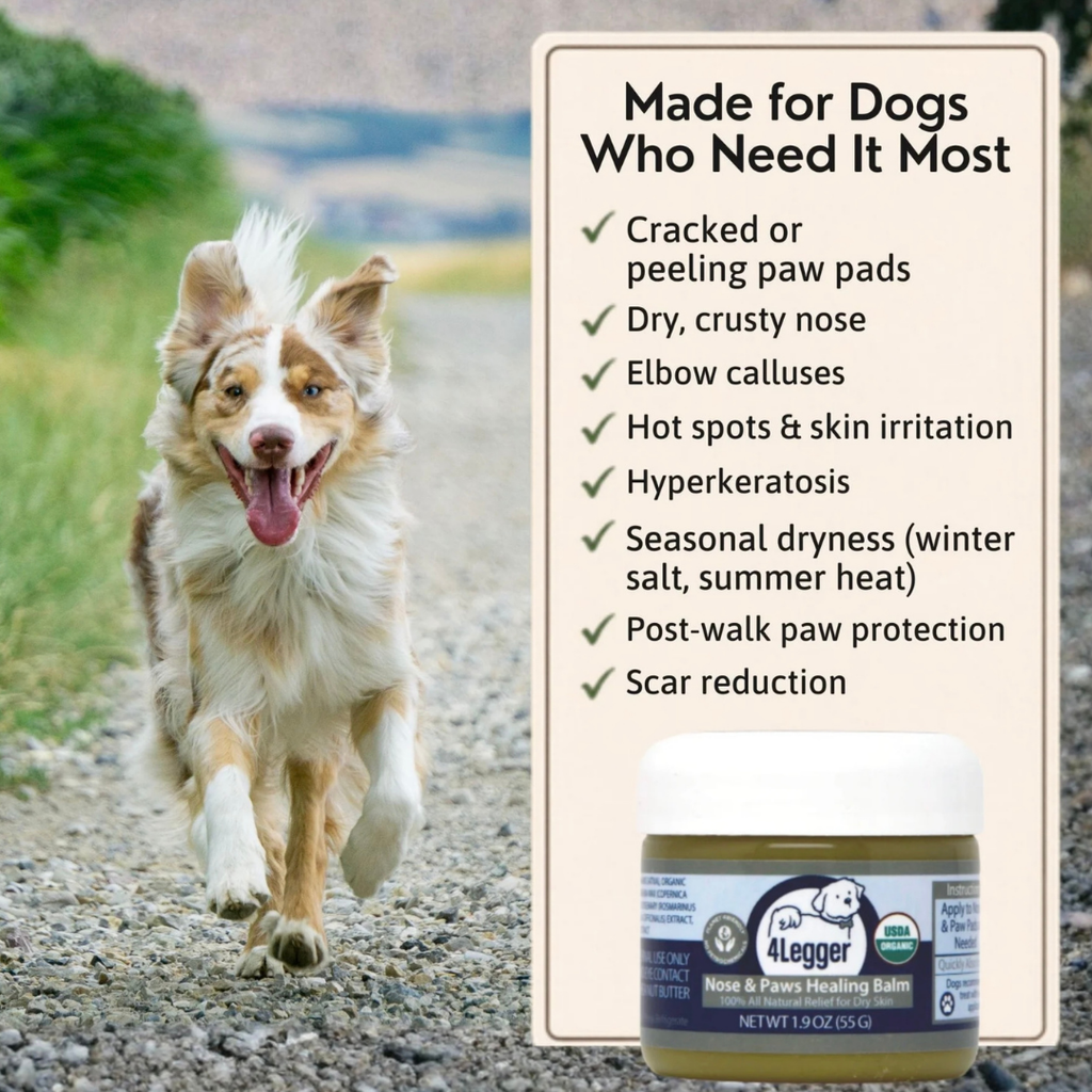 Dog Paw Balm product image 7