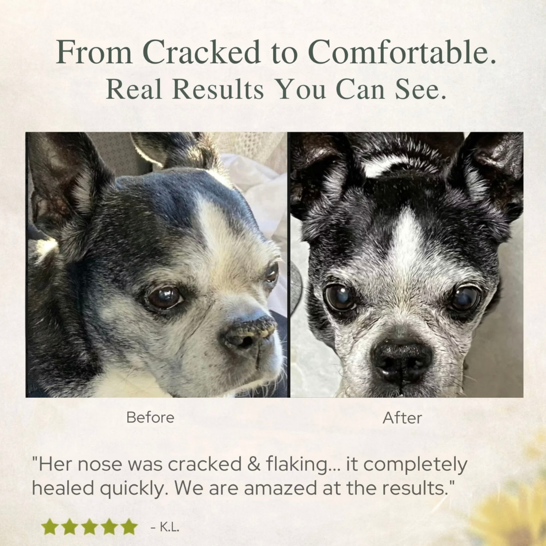 Dog Paw Balm product image 10