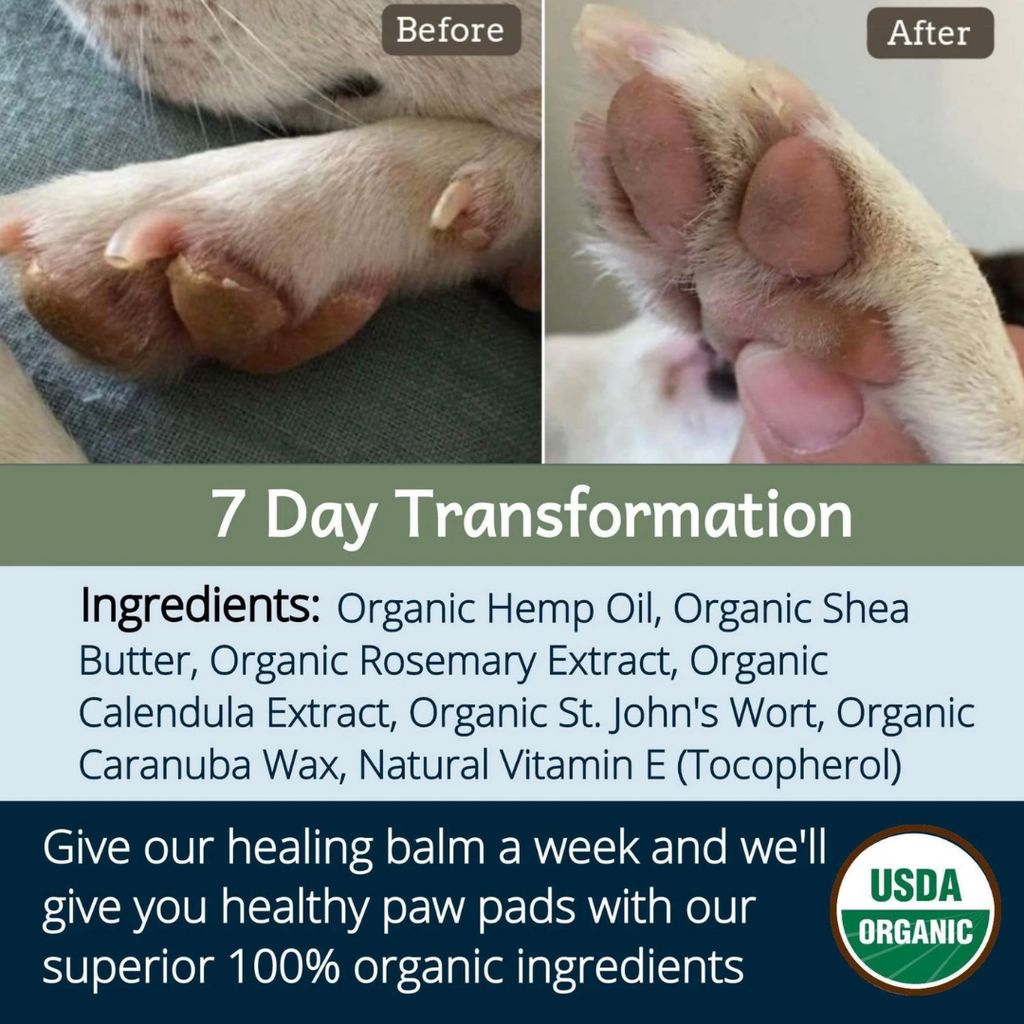 Dog Paw Balm product image 21