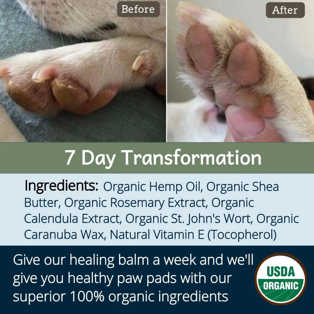 Dog Paw Balm product image 21