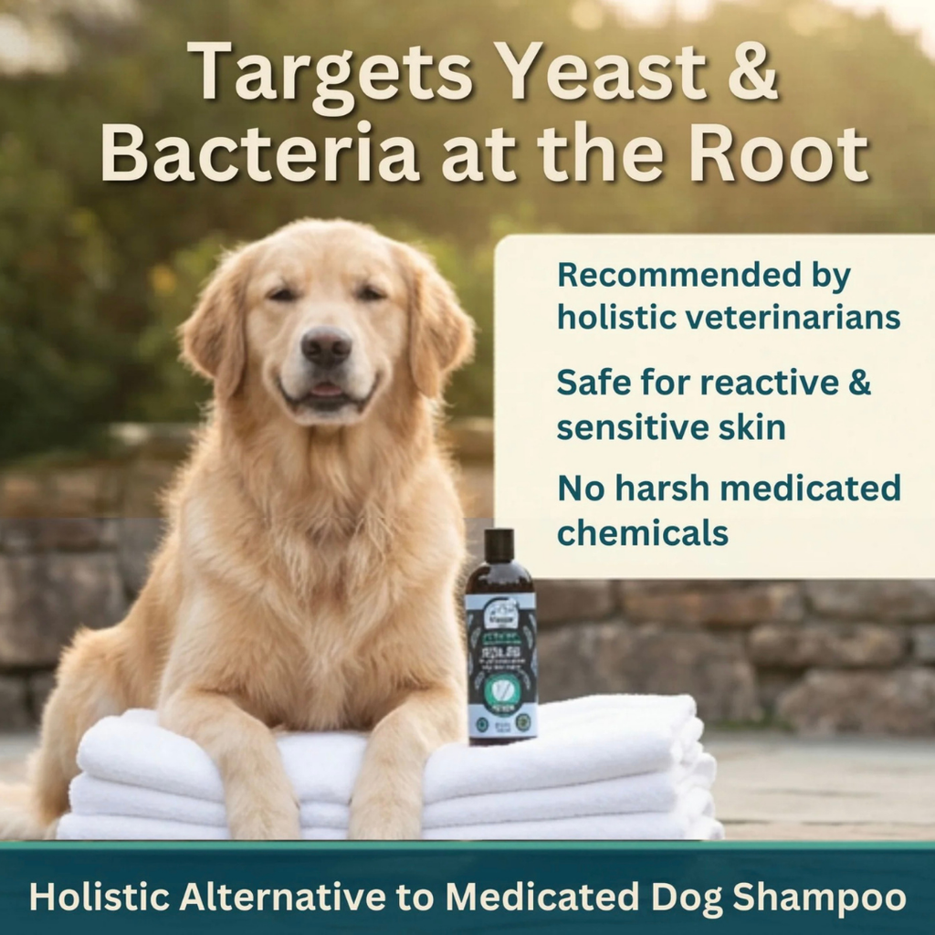 Dog Shampoo product image 2