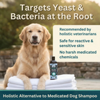 Dog Shampoo product image 2