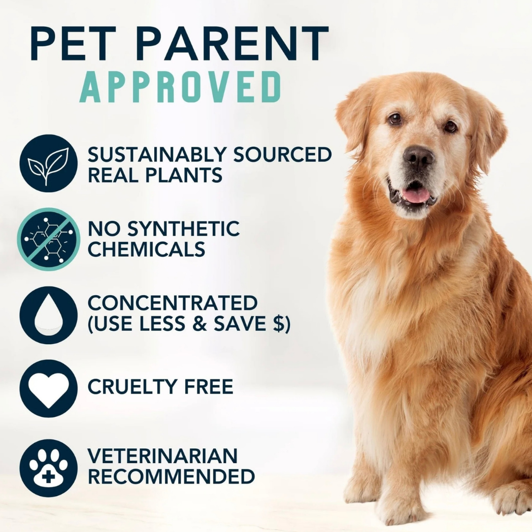 Dog Shampoo product image 12