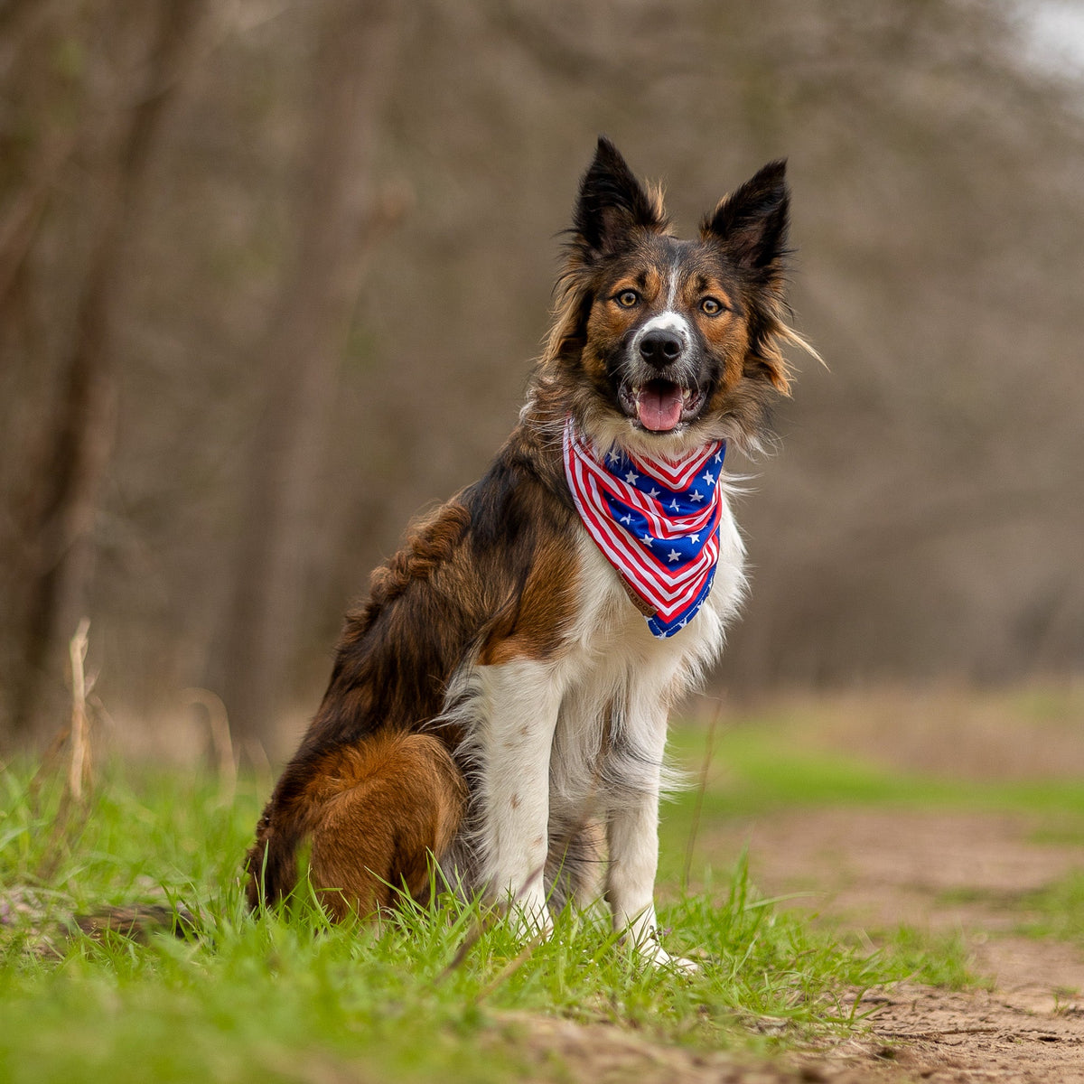 Cooling Dog Bandana product image 2