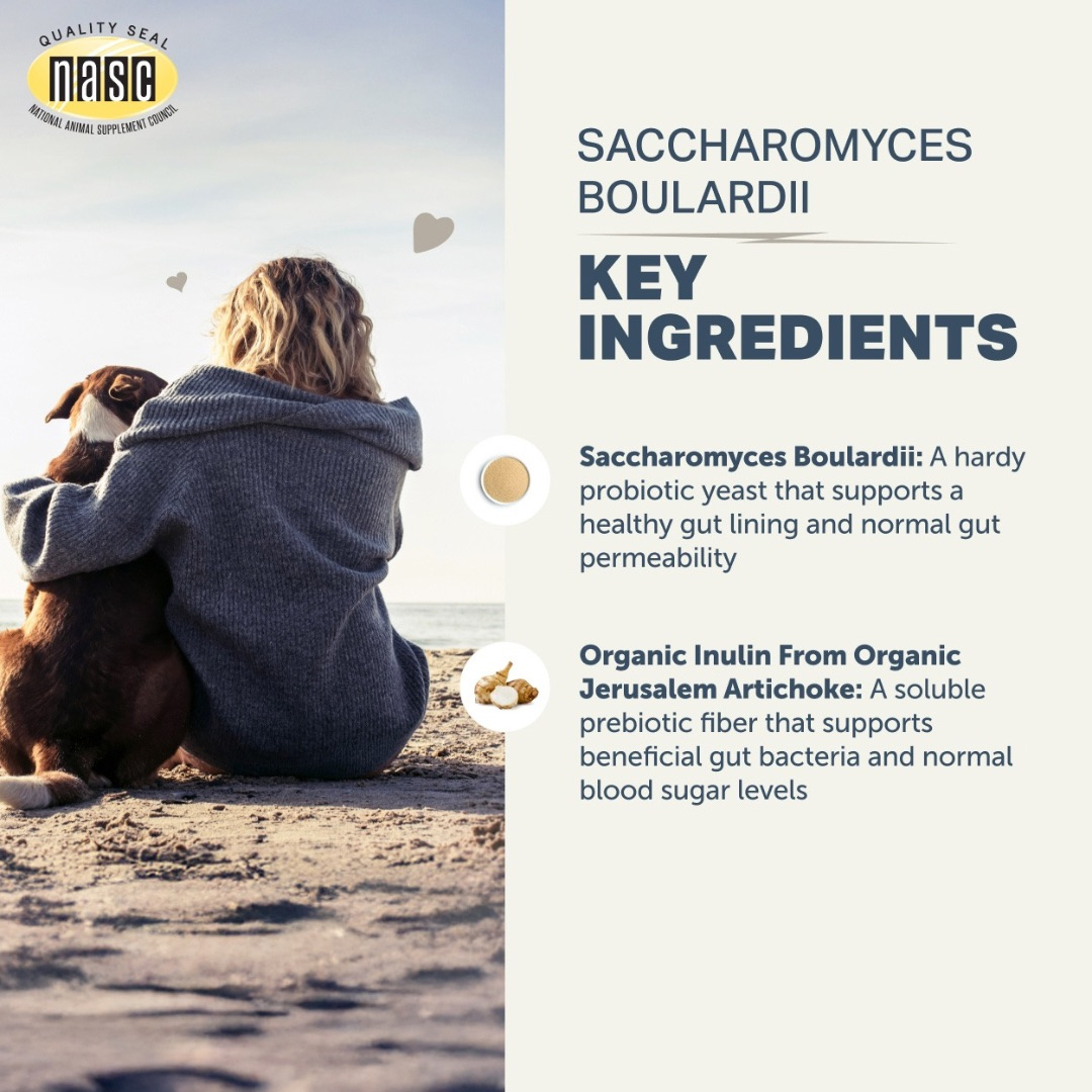 Dog Probiotic Supplement product image 4