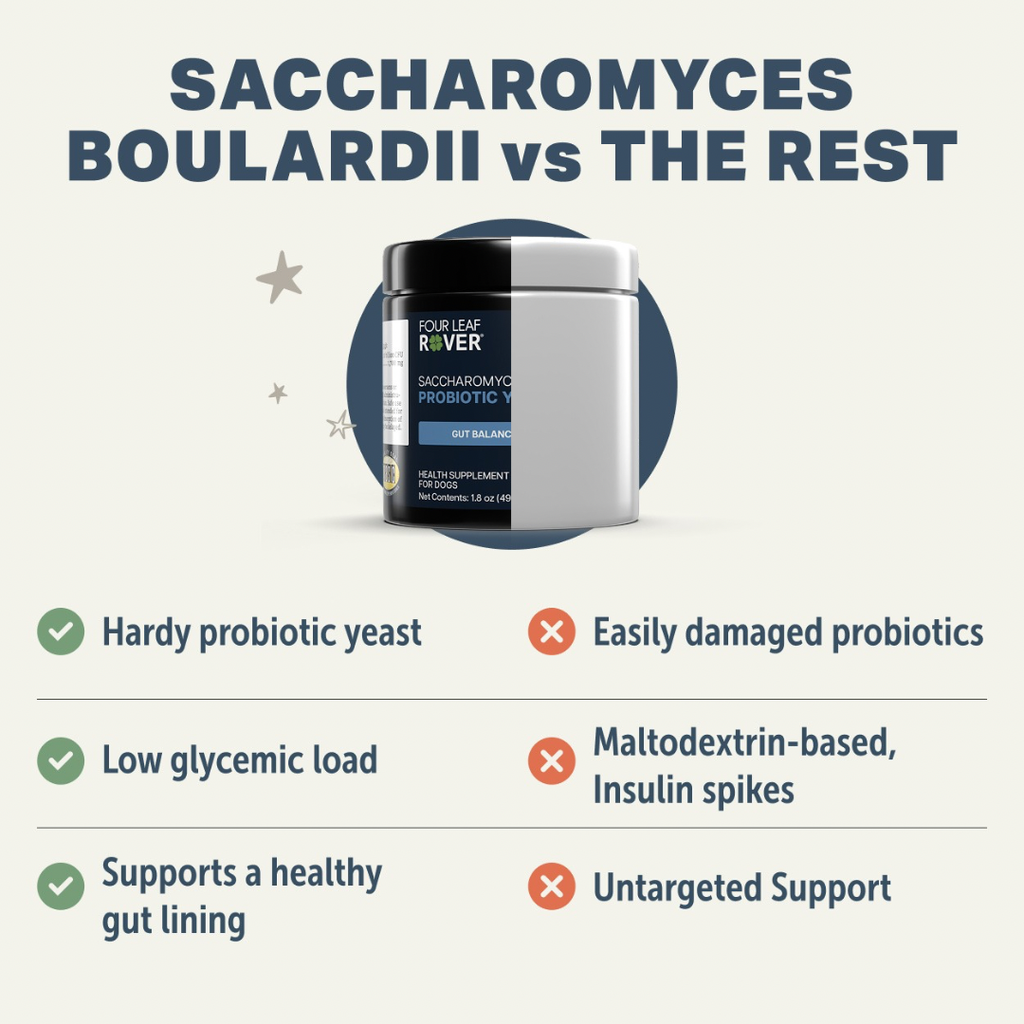 Dog Probiotic Supplement product image 6