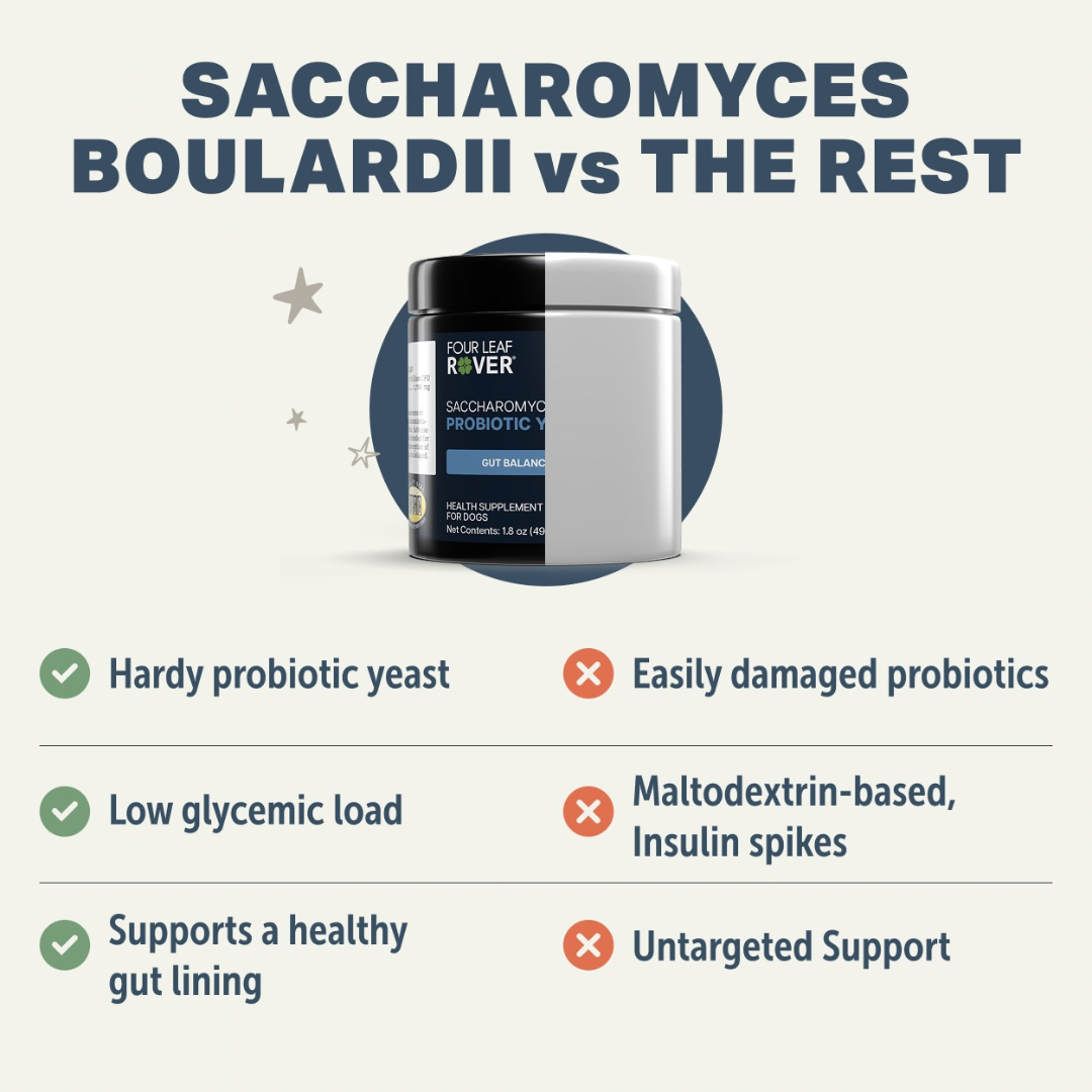 Dog Probiotic Supplement product image 6