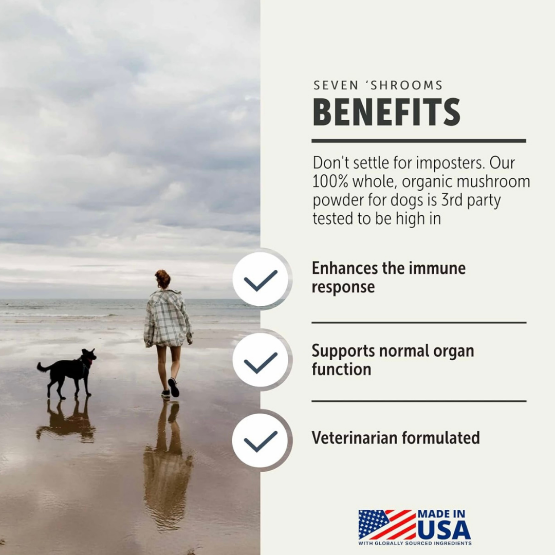 Dog Mushroom Supplement product image 6