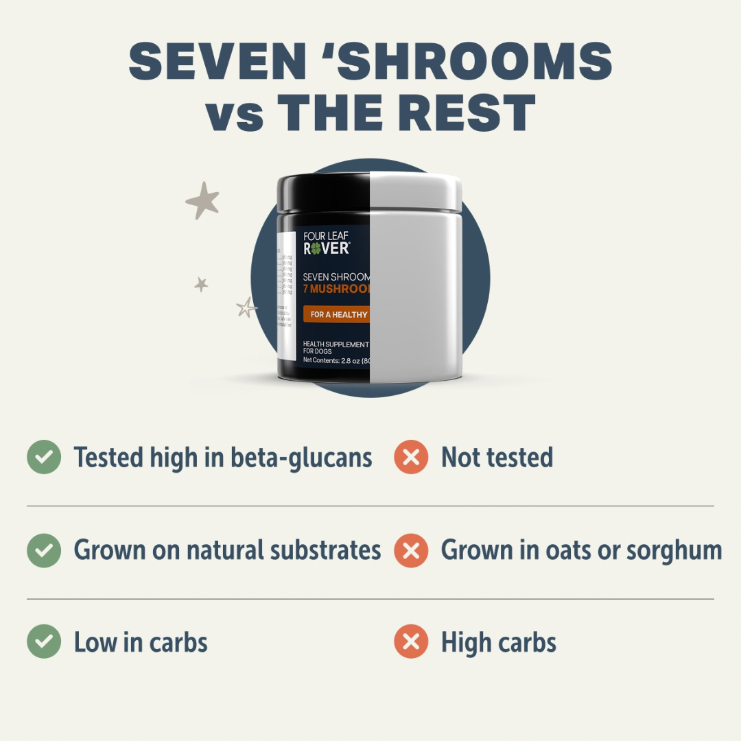 Dog Mushroom Supplement product image 7