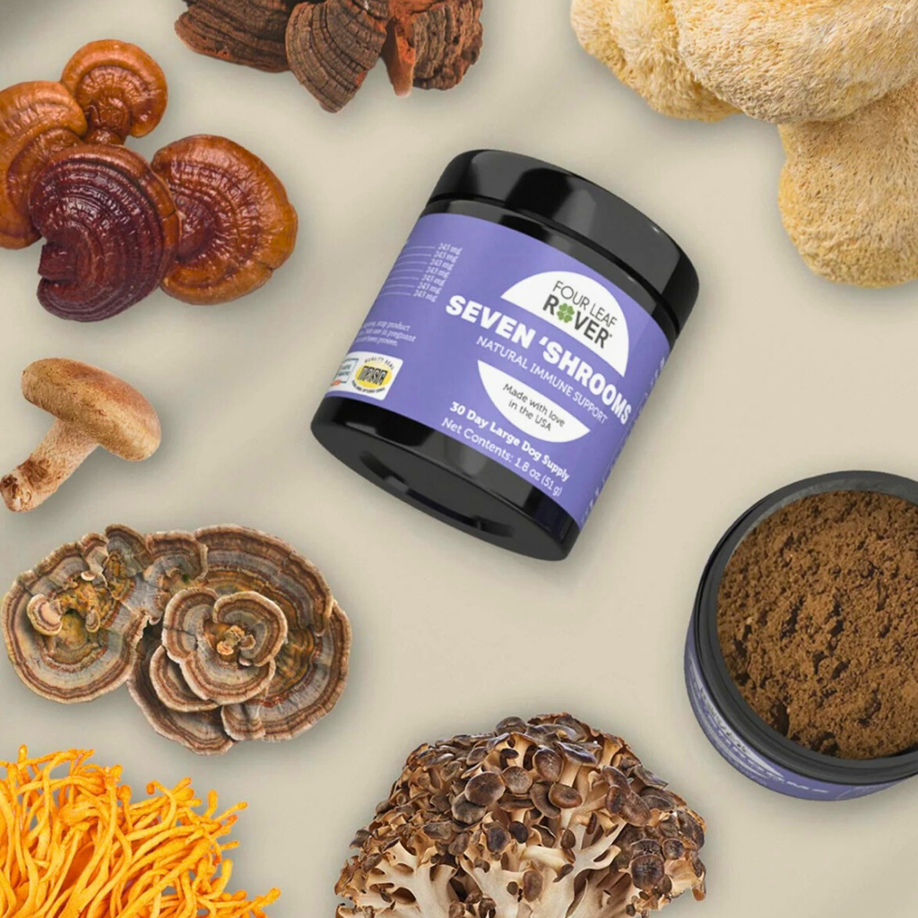 Dog Mushroom Supplement product image 17
