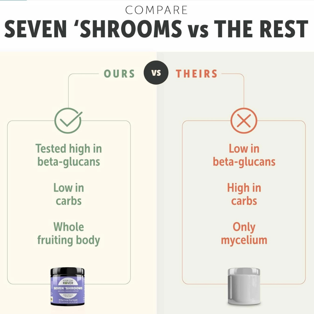 Dog Mushroom Supplement product image 19