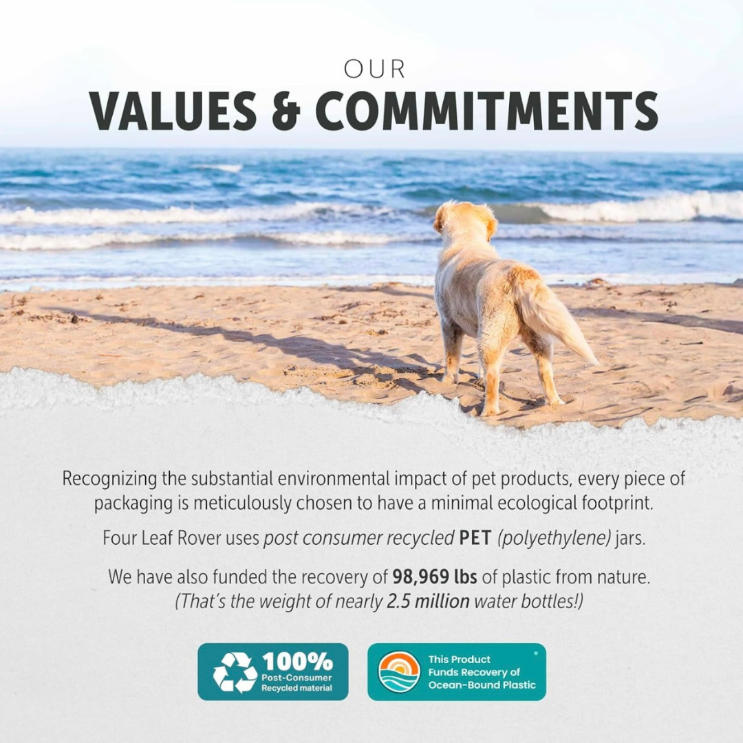 Dog Mushroom Supplement product image 26