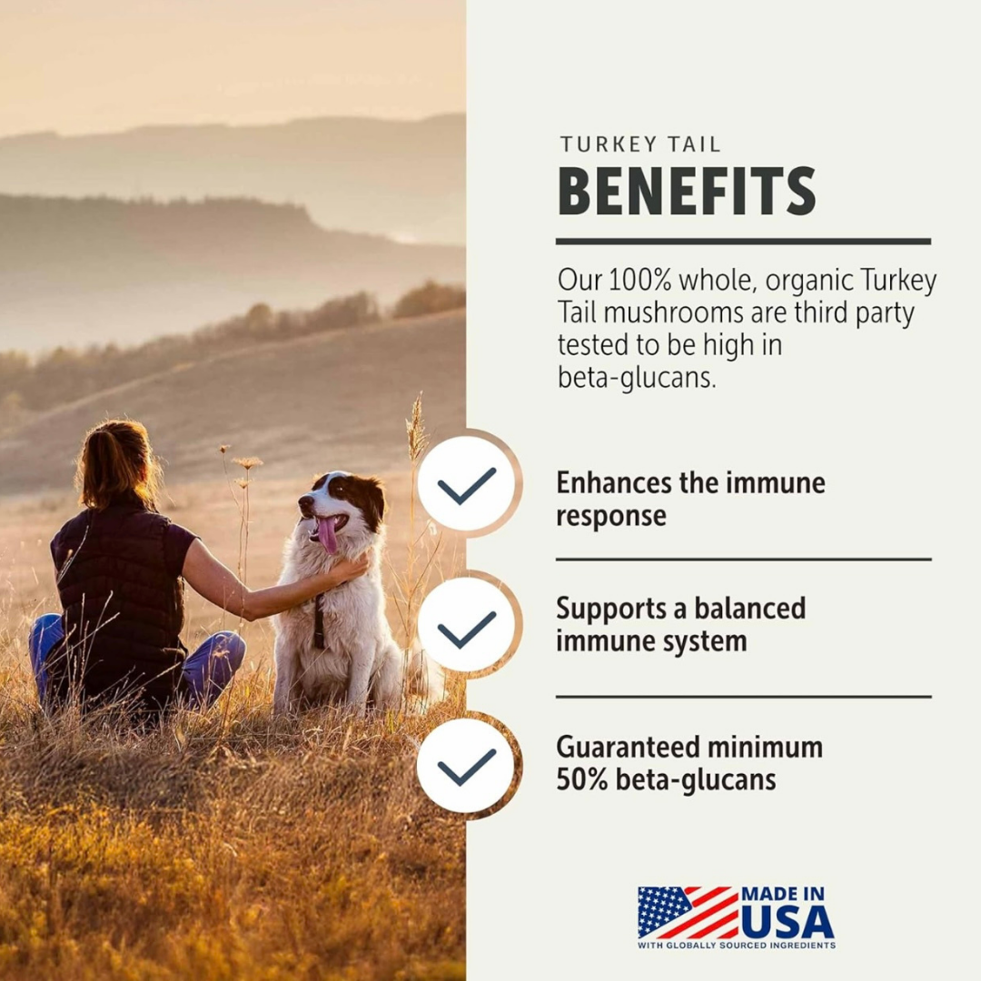 Dog Mushroom Supplement product image 3