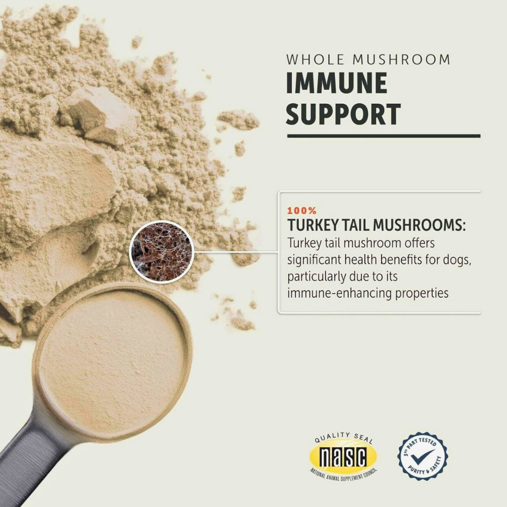 Dog Mushroom Supplement product image 4