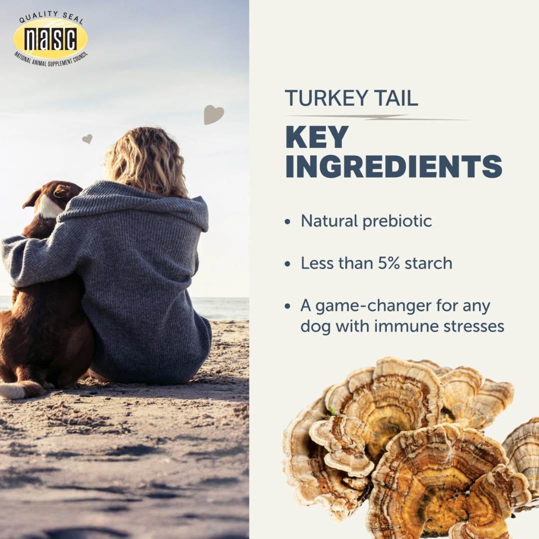 Dog Mushroom Supplement product image 6