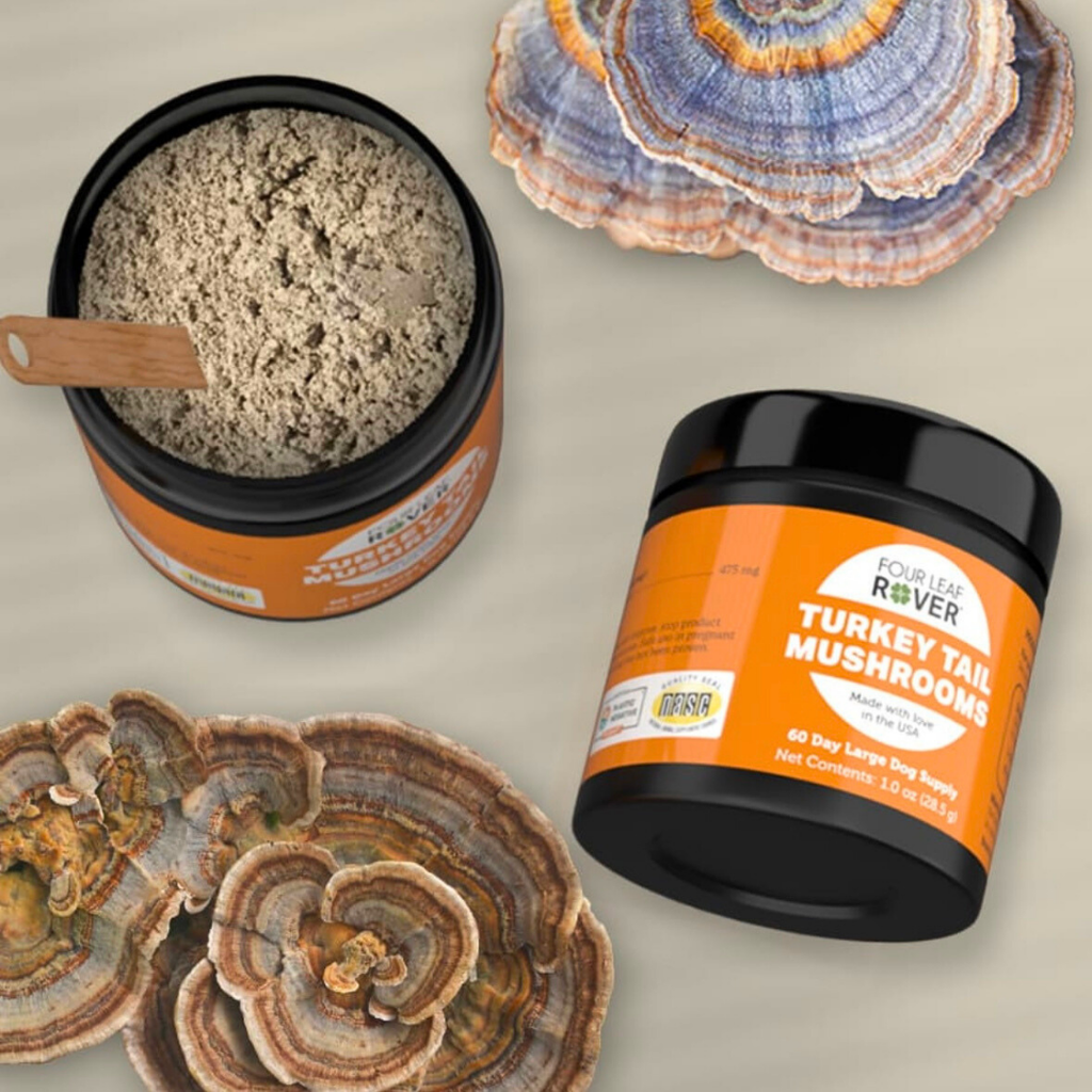 Dog Mushroom Supplement product image 14