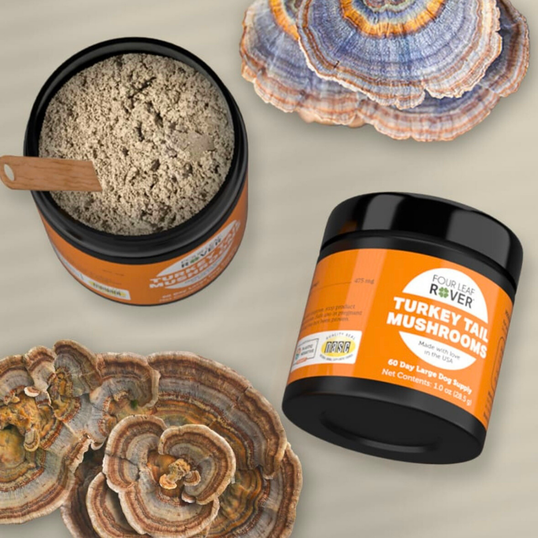 Dog Mushroom Supplement product image 14