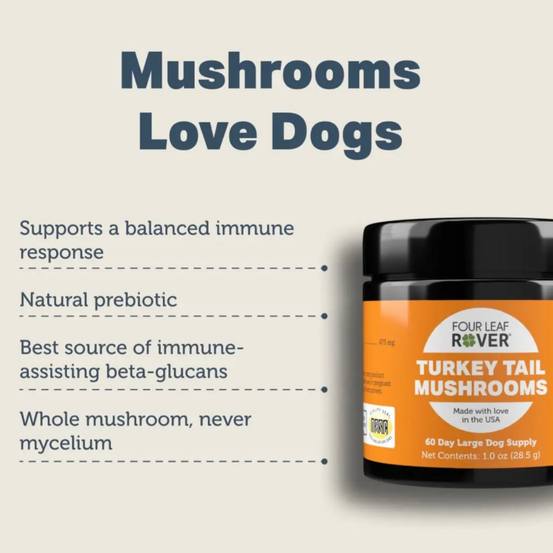 Dog Mushroom Supplement product image 22